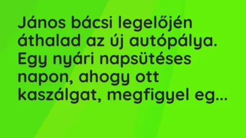 Vicc: János bácsi legelőjén áthalad az új autópálya. Egy nyári napsütéses napon, ahogy… Vicc: János bácsi legelőjén áthalad az új autópálya. Egy nyári napsütéses napon, ahogy…