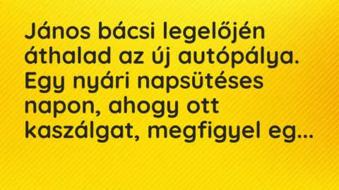 Vicc: János bácsi legelőjén áthalad az új autópálya. Egy nyári napsütéses napon, ahogy…