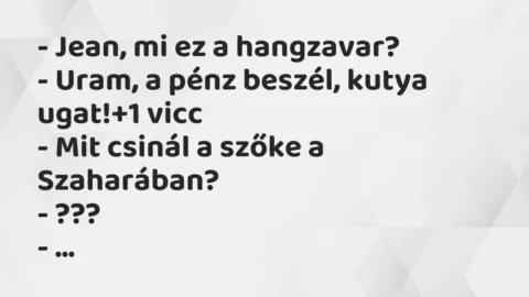 Vicc: – Jean, mi ez a hangzavar?

– Uram, a pénz beszél, kutya ugat!