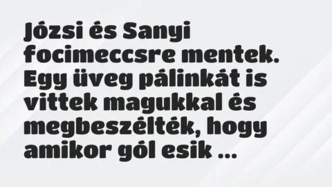 Vicc: Józsi és Sanyi focimeccsre mentek.

Egy üveg pálinkát is vittek magukkal és…