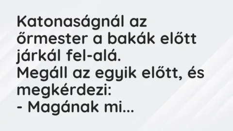 Vicc: Katonaságnál az őrmester a bakák előtt járkál fel-alá.

Megáll az egyik…