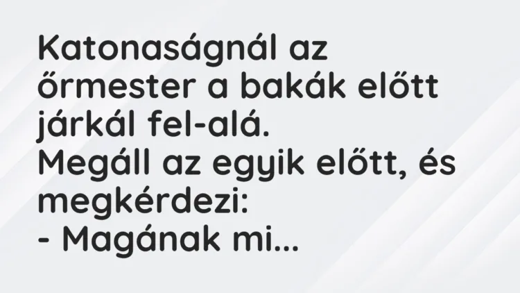Vicc: Katonaságnál az őrmester a bakák előtt járkál fel-alá. Megáll az egyik…