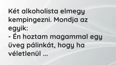 Vicc: Két alkoholista elmegy kempingezni. Mondja az egyik:

– Én hoztam magammal…