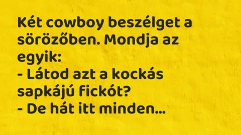 Vicc: Két cowboy beszélget a sörözőben. Mondja az egyik:

– Látod azt a kockás…