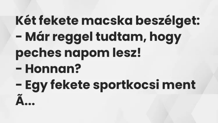 Vicc: Két fekete macska beszélget:
– Már reggel tudtam, hogy peches napom… Vicc: Két fekete macska beszélget:
– Már reggel tudtam, hogy peches napom…