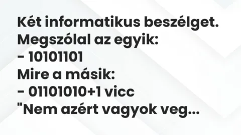 Vicc: Két informatikus beszélget. Megszólal az egyik:

– 10101101

Mire a…