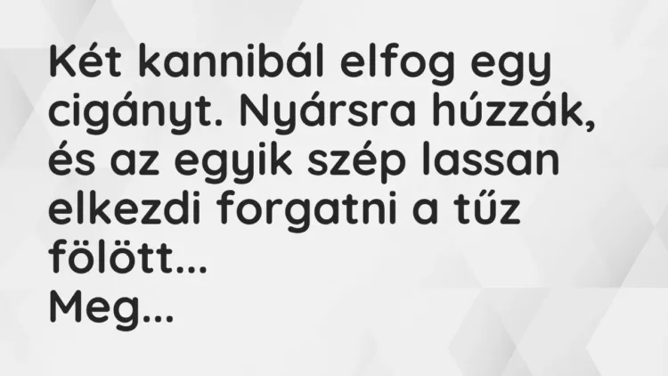 Vicc: Két kannibál elfog egy cigányt. Nyársra húzzák, és az egyik szép lassan elkezdi… Vicc: Két kannibál elfog egy cigányt. Nyársra húzzák, és az egyik szép lassan elkezdi…