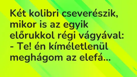 Vicc: Két kolibri cseverészik, mikor is az egyik előrukkol régi vágyával:

– Te!…