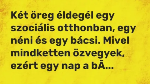 Vicc: Két öreg éldegél egy szociális otthonban, egy néni és egy bácsi. Mivel…