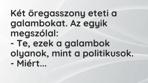 Vicc: Két öregasszony eteti a galambokat. Az egyik megszólal:

– Te, ezek a…
