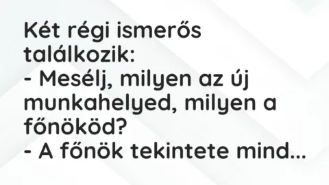 Vicc: Két régi ismerős találkozik:

– Mesélj, milyen az új munkahelyed, milyen a…