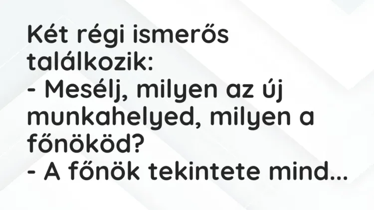Vicc: Két régi ismerős találkozik:
– Mesélj, milyen az új munkahelyed, milyen a… Vicc: Két régi ismerős találkozik:
– Mesélj, milyen az új munkahelyed, milyen a…