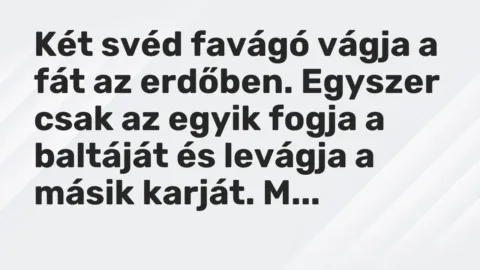 Vicc: Két svéd favágó vágja a fát az erdőben. Egyszer csak az egyik fogja a baltáját…