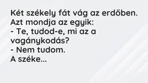 Vicc: Két székely fát vág az erdőben. Azt mondja az egyik:

– Te, tudod-e, mi az a…