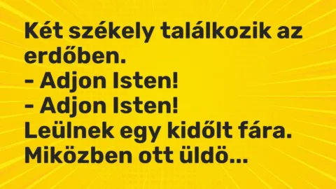 Vicc: Két székely találkozik az erdőben.

– Adjon Isten!

– Adjon…