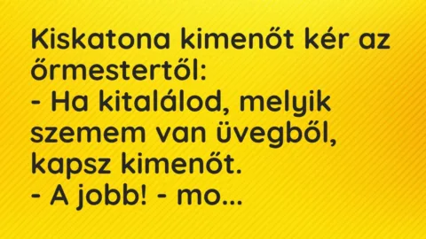 Vicc: Kiskatona kimenőt kér az őrmestertől:

– Ha kitalálod, melyik szemem van…