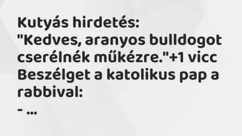 Vicc: Kutyás hirdetés:

„Kedves, aranyos bulldogot cserélnék műkézre.”