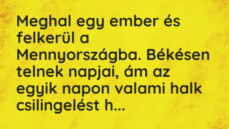 Vicc: Meghal egy ember és felkerül a Mennyországba. Békésen telnek napjai, ám az egyik… Vicc: Meghal egy ember és felkerül a Mennyországba. Békésen telnek napjai, ám az egyik…