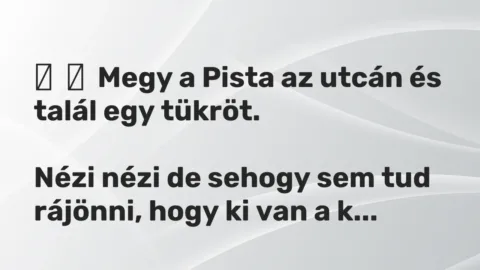 Vicc: 
	    	    Megy a Pista az utcán és talál egy tükröt.


Nézi nézi de sehogy…