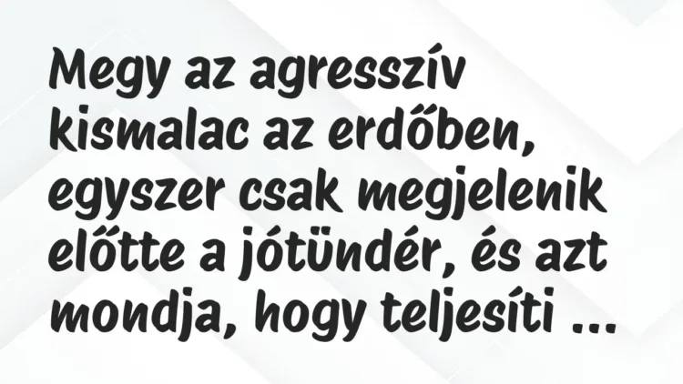 Vicc: Megy az agresszív kismalac az erdőben, egyszer csak megjelenik előtte a jótündér… Vicc: Megy az agresszív kismalac az erdőben, egyszer csak megjelenik előtte a jótündér…