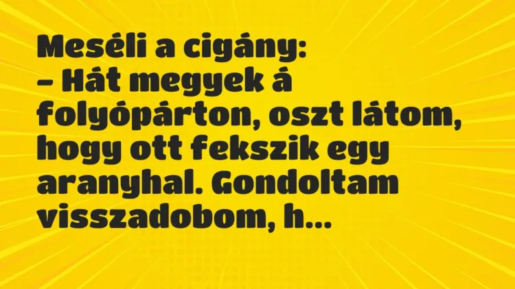Vicc: Meséli a cigány:
– Hát megyek á folyópárton, oszt látom, hogy ott fekszik… Vicc: Meséli a cigány:
– Hát megyek á folyópárton, oszt látom, hogy ott fekszik…