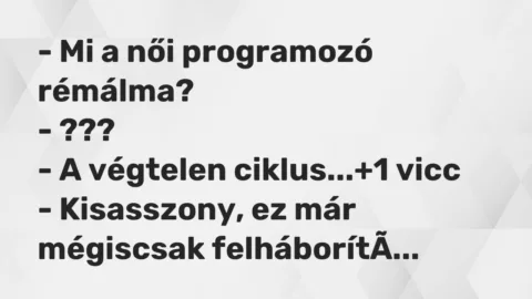 Vicc: – Mi a női programozó rémálma?

– ???

– A végtelen ciklus…