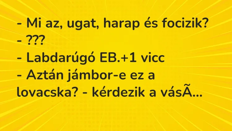 Vicc: – Mi az, ugat, harap és focizik? – ??? – Labdarúgó EB.