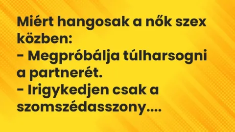 Vicc: Miért hangosak a nők szex közben:

– Megpróbálja túlharsogni a…