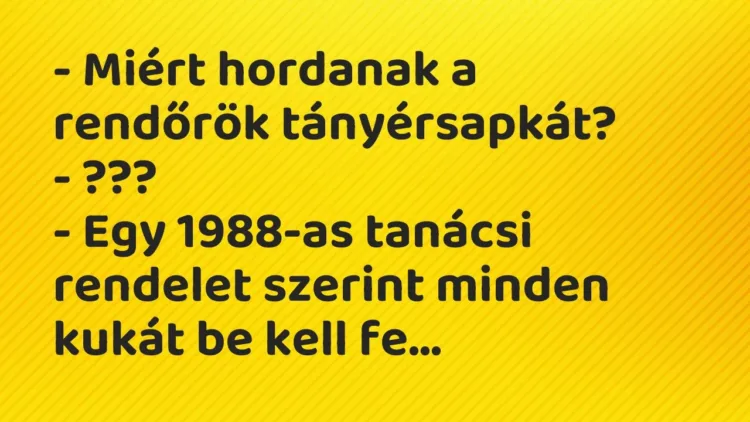 Vicc: – Miért hordanak a rendőrök tányérsapkát?
– ???
– Egy 1988-as tanácsi… Vicc: – Miért hordanak a rendőrök tányérsapkát?
– ???
– Egy 1988-as tanácsi…