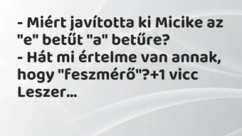 Vicc: – Miért javította ki Micike az „e” betűt „a” betűre? – Hát mi értelme van…