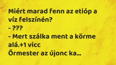 Vicc: Miért marad fenn az etióp a víz felszínén?

– ???

– Mert szálka ment a…