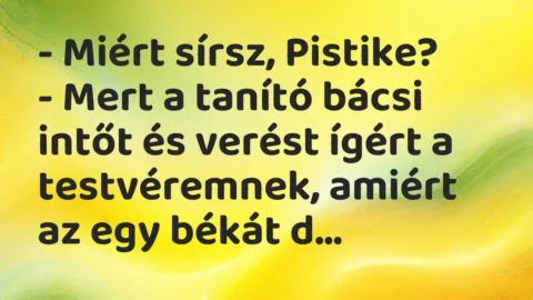 Vicc: – Miért sírsz, Pistike?

– Mert a tanító bácsi intőt és verést ígért a…