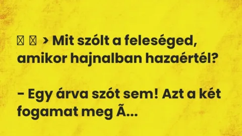 Vicc: 
	    	    > Mit szólt a feleséged, amikor hajnalban hazaértél?


– Egy …