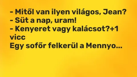 Vicc: – Mitől van ilyen világos, Jean?
– Süt a nap, uram!
– Kenyeret vagy… Vicc: – Mitől van ilyen világos, Jean?
– Süt a nap, uram!
– Kenyeret vagy…