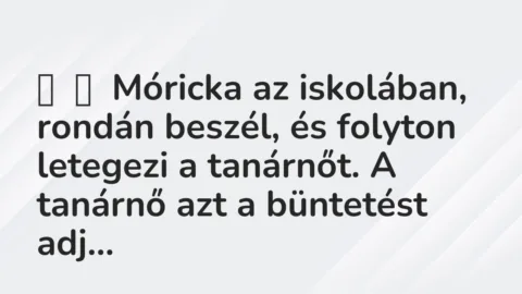 Vicc: 
	    	    Móricka az iskolában, rondán beszél, és folyton letegezi a tanárnőt. …