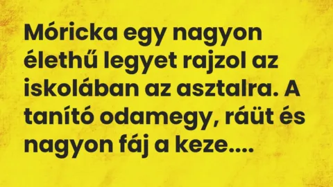 Vicc: Móricka egy nagyon élethű legyet rajzol az iskolában az asztalra. A tanító…