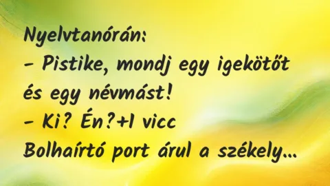 Vicc: Nyelvtanórán:

– Pistike, mondj egy igekötőt és egy névmást!

– Ki? Én?