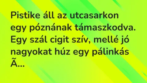 Vicc: Pistike áll az utcasarkon egy póznának támaszkodva. Egy szál cigit szív, mellé…