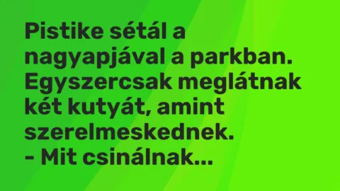 Vicc: Pistike sétál a nagyapjával a parkban.

Egyszercsak meglátnak két kutyát,…