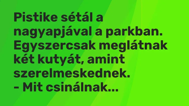 Vicc: Pistike sétál a nagyapjával a parkban.
Egyszercsak meglátnak két kutyát,… Vicc: Pistike sétál a nagyapjával a parkban.
Egyszercsak meglátnak két kutyát,…