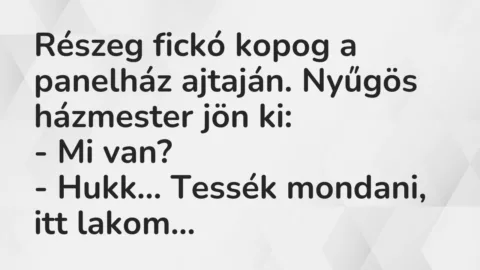 Vicc: Részeg fickó kopog a panelház ajtaján. Nyűgös házmester jön ki:

– Mi…
