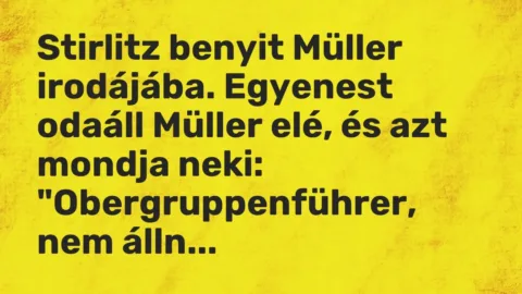Vicc: Stirlitz benyit Müller irodájába. Egyenest odaáll Müller elé, és azt mondja…