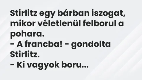 Vicc: Stirlitz egy bárban iszogat, mikor véletlenül felborul a pohara.

– A…