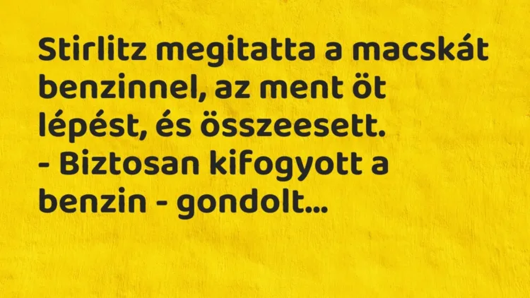 Vicc: Stirlitz megitatta a macskát benzinnel, az ment öt lépést, és összeesett.
-… Vicc: Stirlitz megitatta a macskát benzinnel, az ment öt lépést, és összeesett.
-…