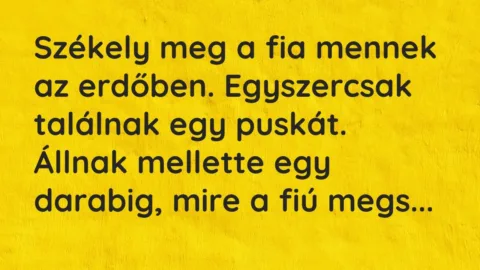 Vicc: Székely meg a fia mennek az erdőben. Egyszercsak találnak egy puskát. Állnak…