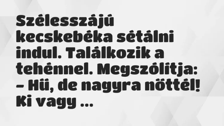 Vicc: Szélesszájú kecskebéka sétálni indul. Találkozik a tehénnel. Megszólítja:
-… Vicc: Szélesszájú kecskebéka sétálni indul. Találkozik a tehénnel. Megszólítja:
-…