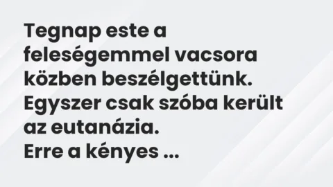 Vicc: Tegnap este a feleségemmel vacsora közben beszélgettünk. Egyszer csak szóba…