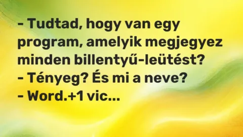 Vicc: – Tudtad, hogy van egy program, amelyik megjegyez minden…