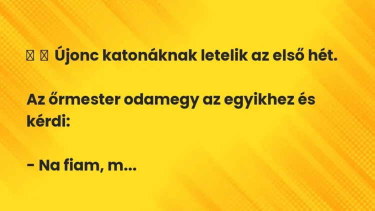 Vicc:
Újonc katonáknak letelik az első hét.
Az őrmester odamegy az… Vicc:
Újonc katonáknak letelik az első hét.
Az őrmester odamegy az…