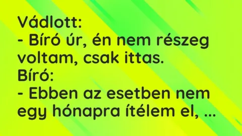 Vicc: Vádlott:

– Bíró úr, én nem részeg voltam, csak ittas.

Bíró:

-…